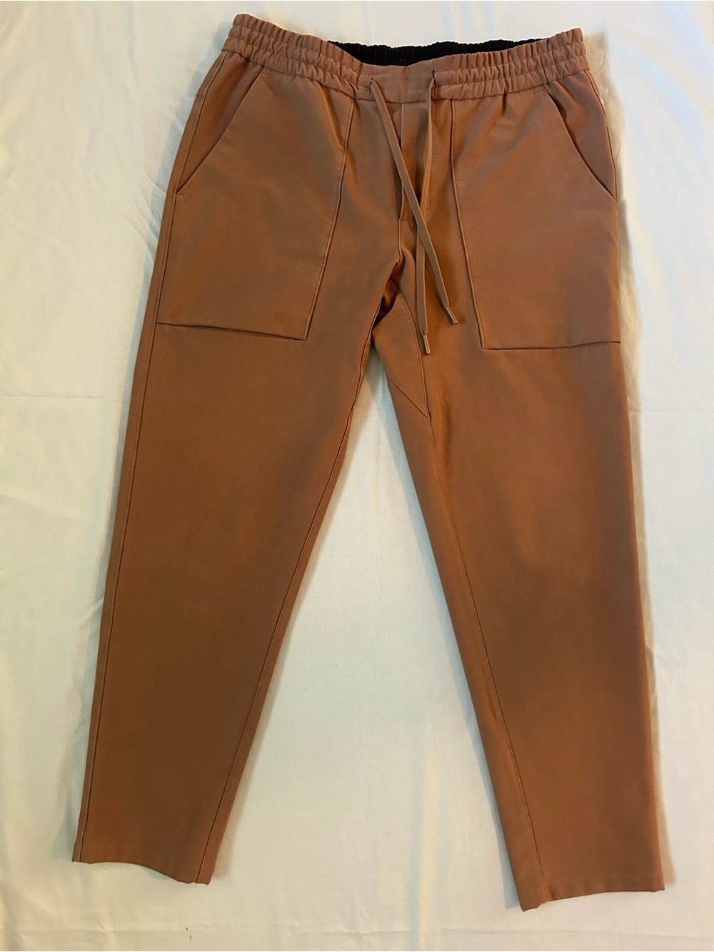 Lululemon Men’s ABC Pull-On Pants Brown Size Large